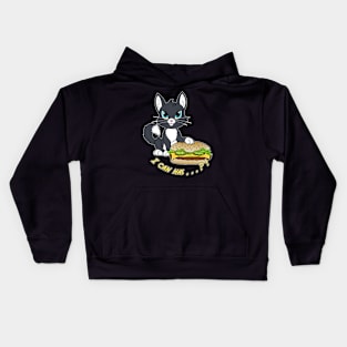 I Can Has Kids Hoodie